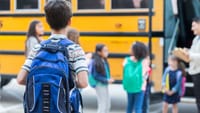 Primarul din Rediu amenință cu tăieri dure: „Fără microbuz școlar și hârtie igienică pentru elevii cu rezultate slabe” imagine postare