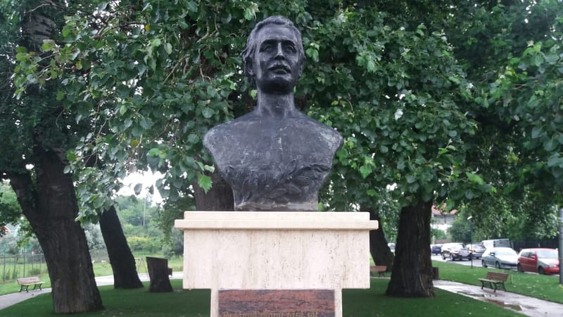 Plopul fără soț a căzut: Incident pe strada inspirată de Mihai Eminescu imagine postare