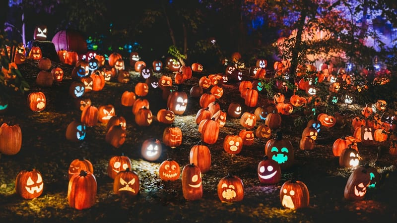 Halloweenul: ritualuri vechi, obsesii noi imagine postare