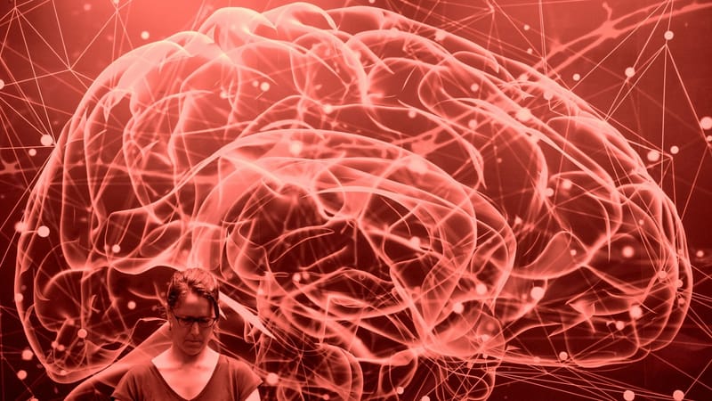 Creierul nu „se face mare” la 18 ani: oamenii de știință spun că maturitatea reală începe abia la 32 de ani imagine postare